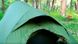 Палатка двухместная Pinguin Arris Extreme DAC, Green (PNG 139648)